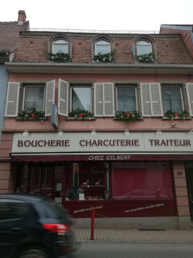 Spacieux Appartement Dans Le Centre De Munster Munster  Exterior photo